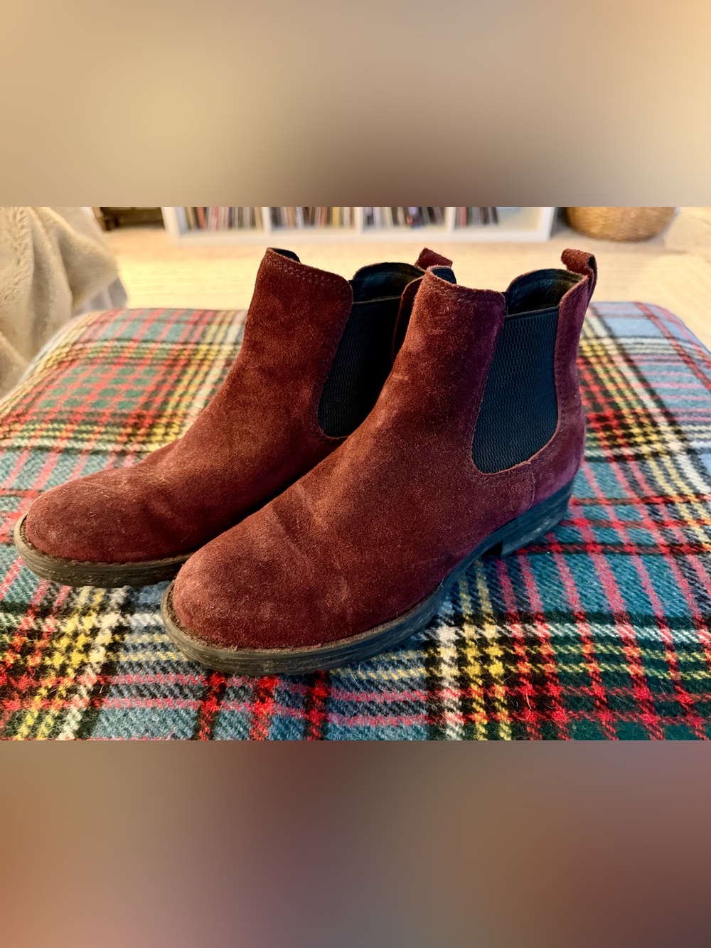 Size 7.5 Børn Cove Waterproof Burgandy Chelsea Boot